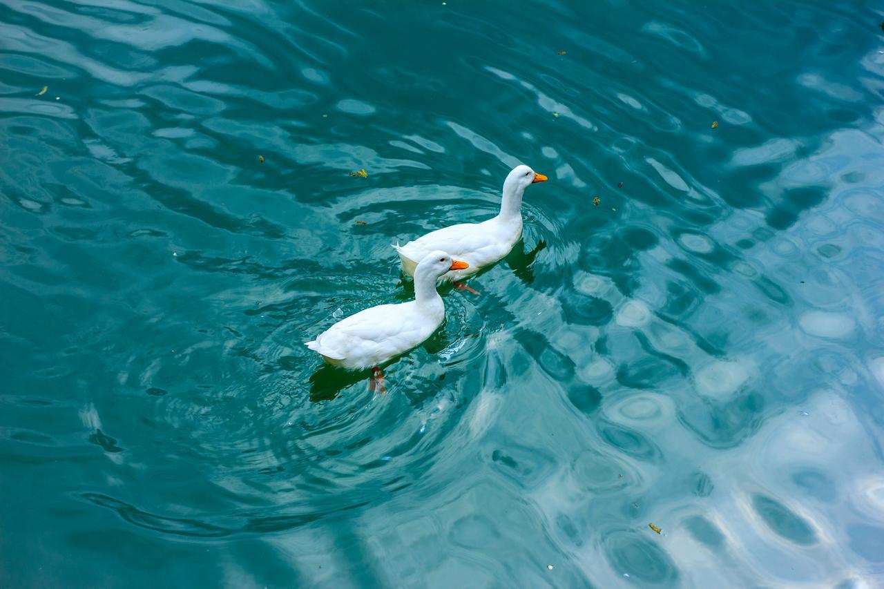 Amiran'S Lake Hotel Tbilisi Ngoại thất bức ảnh