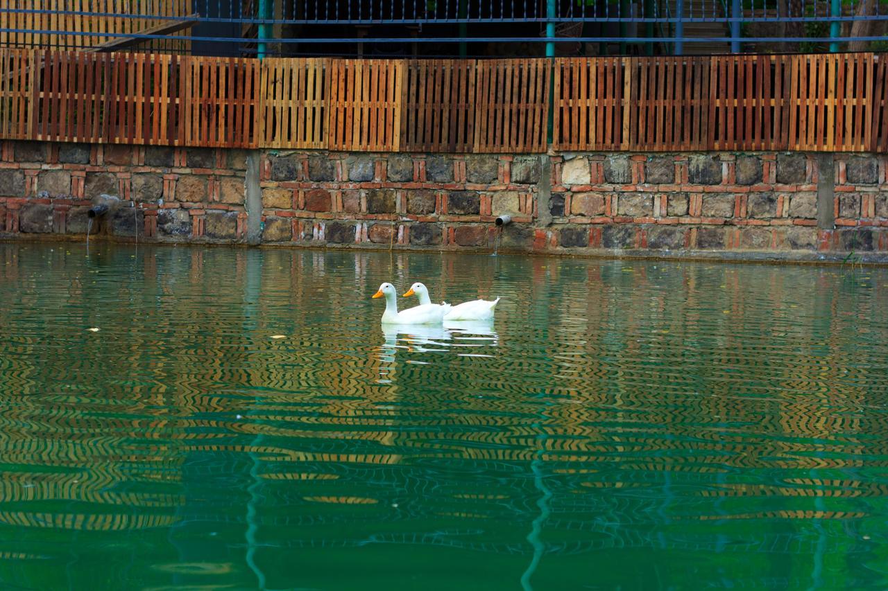 Amiran'S Lake Hotel Tbilisi Ngoại thất bức ảnh